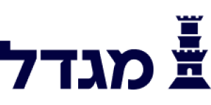 AIG_new_logo.svg-4